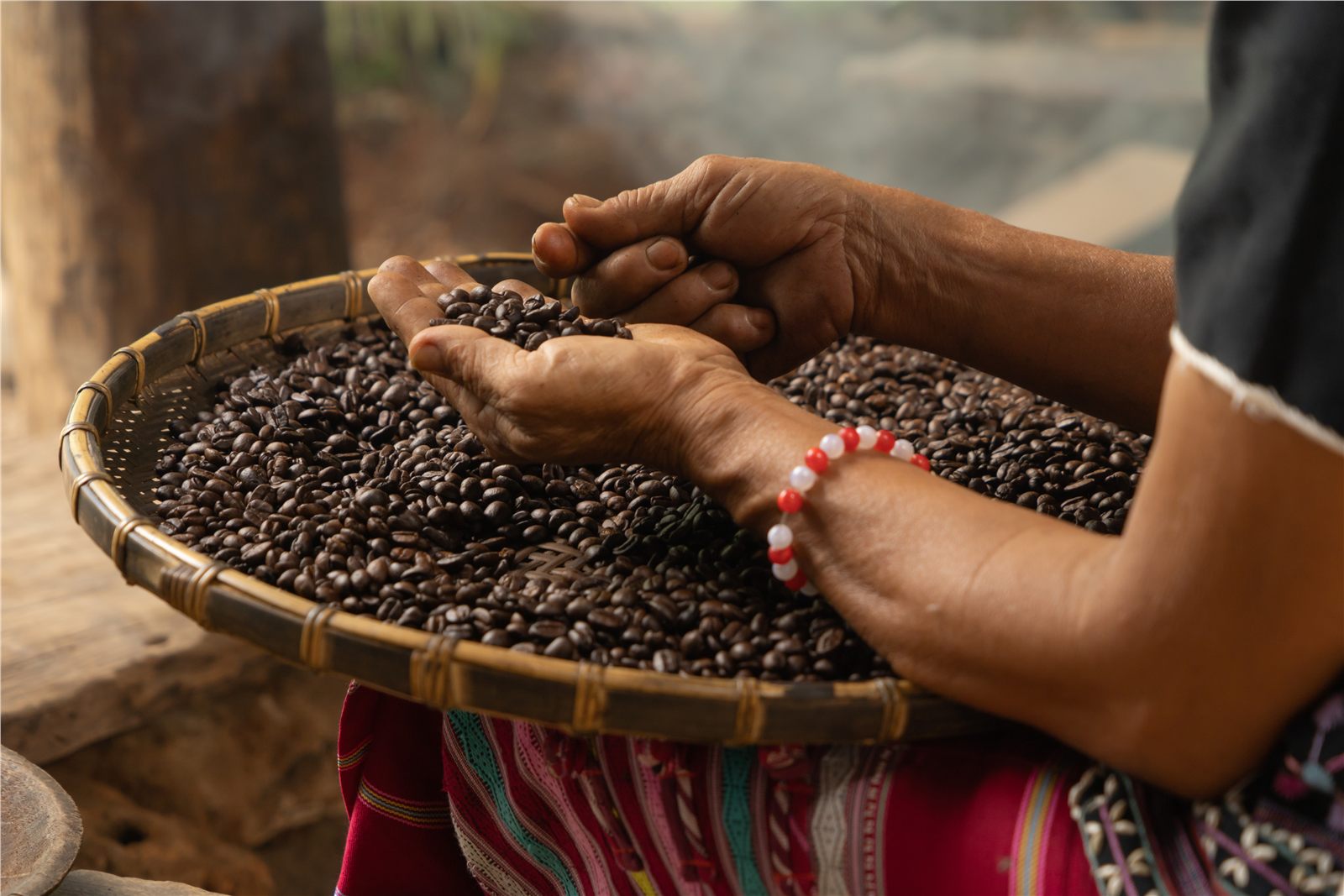 Hands sorting coffee beans on a woven tray